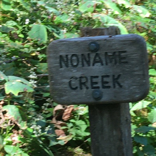 friendlyramblings's avatar