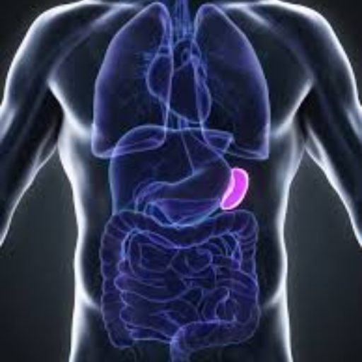 i-exist-for-spleen's avatar